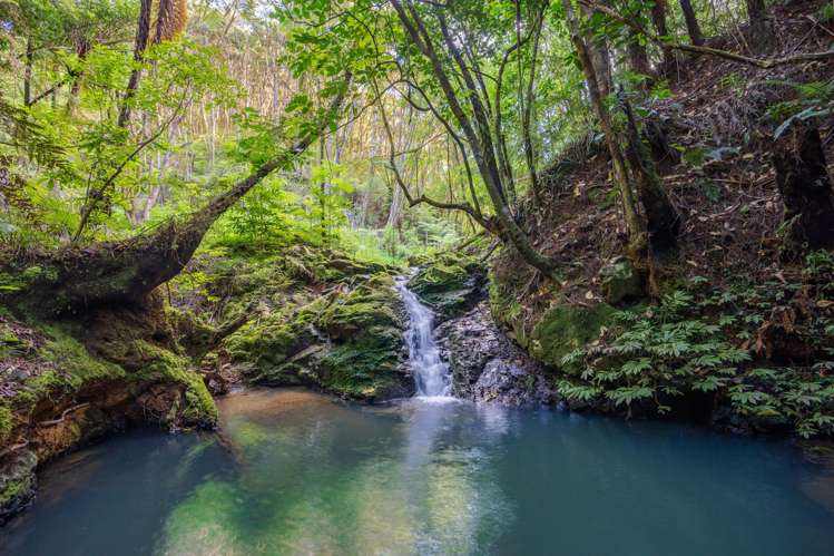 849 Owhiwa Road Parua Bay_32