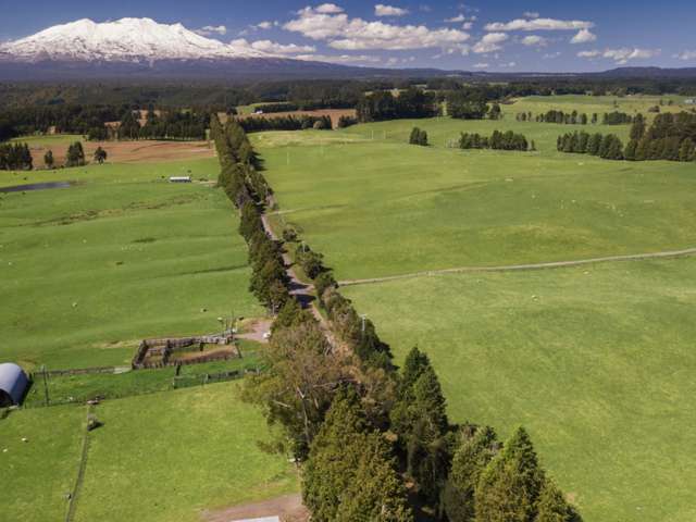 355 Motete Road Raetihi_1