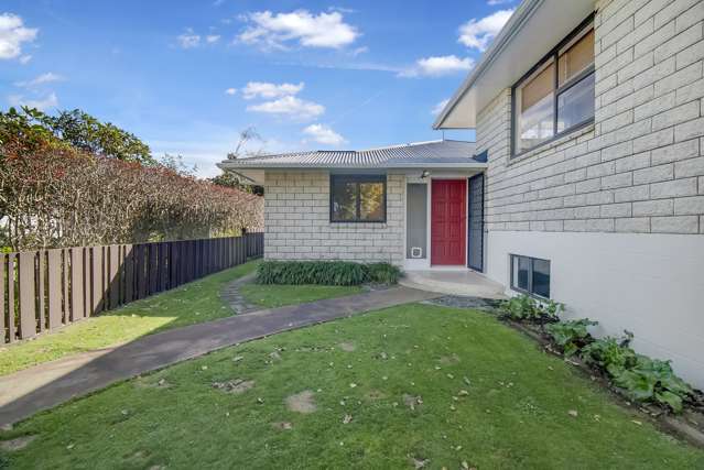 21 Ngahere Street Inglewood_2