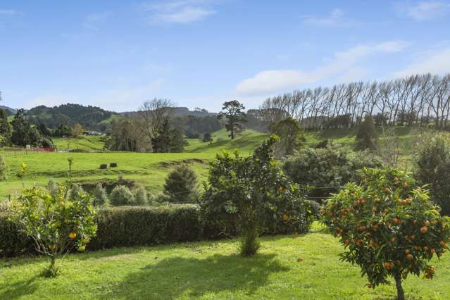 14 Poland Street Waikino_1