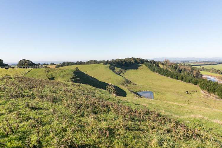 613 Blackburn Road Ongaonga_16