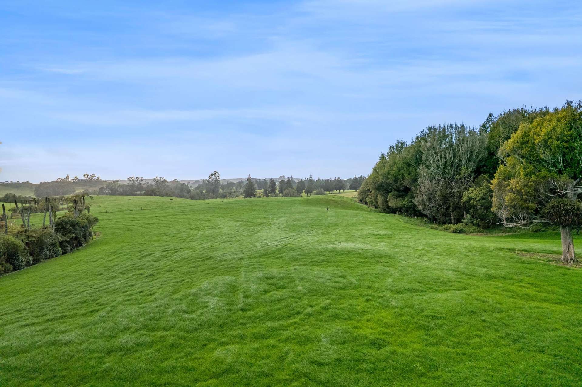 885 Carrington Road Hurworth_0