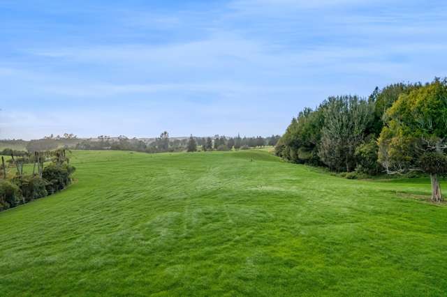 Dairy Opportunity Close To The City