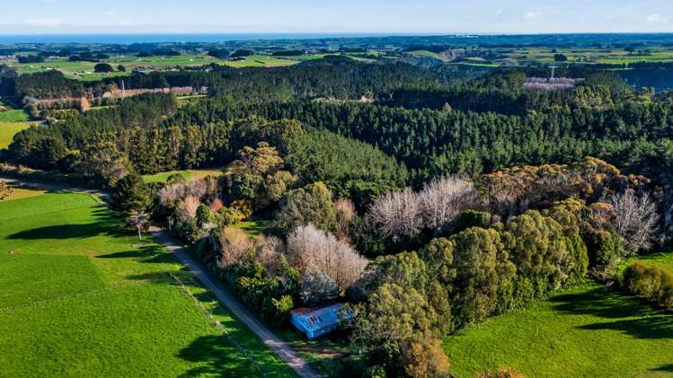 709 Ingahape Road Ohangai_16