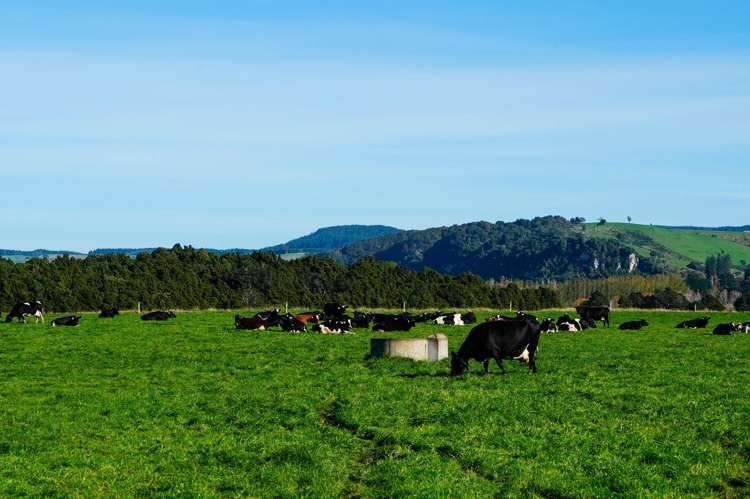 2803 Ohai Clifden Highway Orawia_5