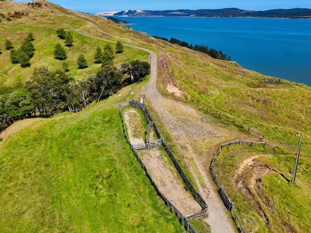 Brindle Road Opononi_2