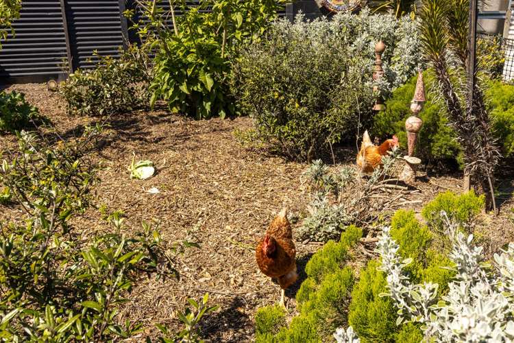 12 Old Renwick Road Mayfield_29