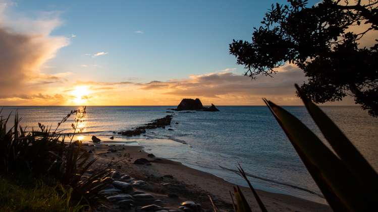 2138 Cove Road Mangawhai_5