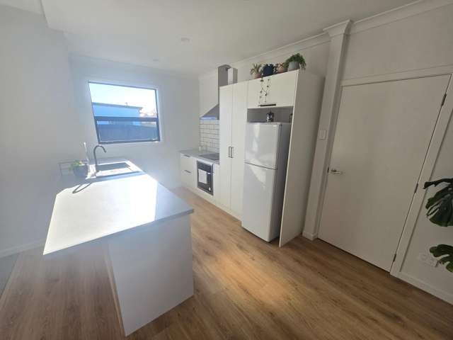 75 Kitchener Street Gore_2