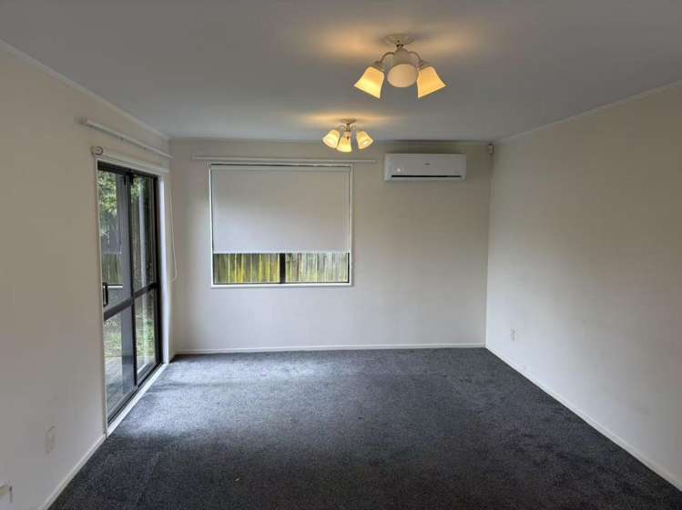 27H Rehia Road Massey_5