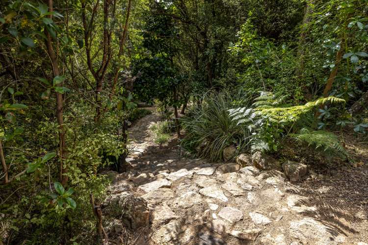 6 Taraire Street Ostend_23