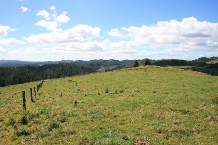 698 Mangaoapa Road Matau_22