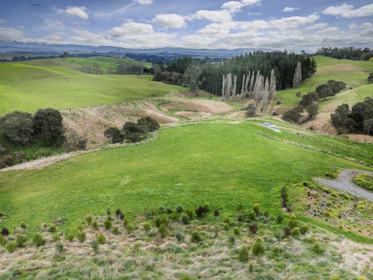 3/2224 Taihape Road_0