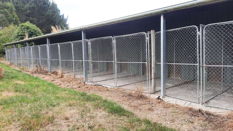 746 Clutha River Road Rongahere_6