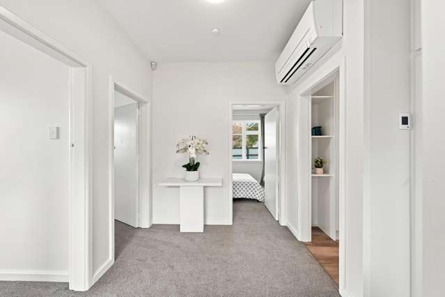 268C Opawa Road Hillsborough_2