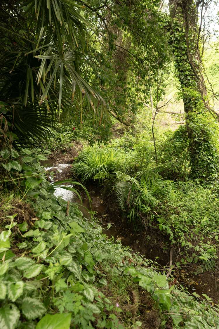 19 Lairdvale Road Taumarunui_19