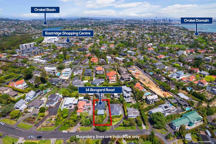 14 Bongard Road Mission Bay_35