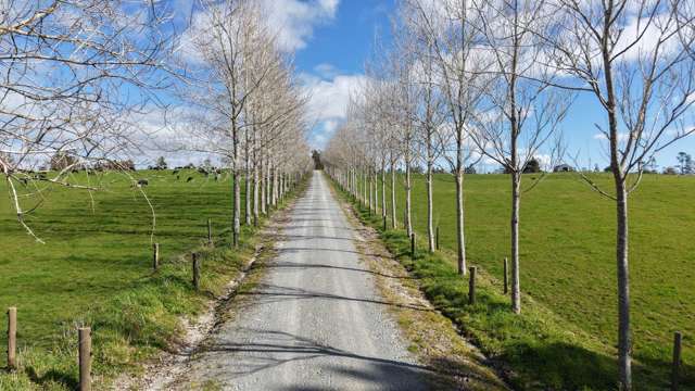 Waiare Road Kerikeri_3