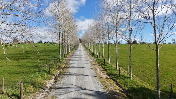 Waiare Road Kerikeri_3