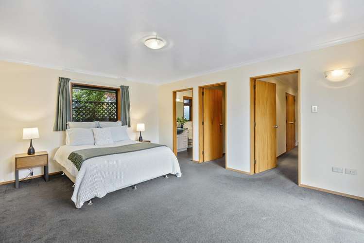 227 Forbury Road Saint Clair_7