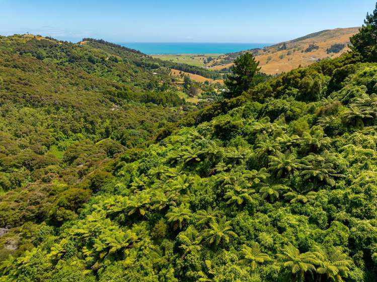 185 Kanuka Rise Wakapuaka_21