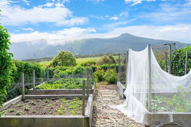 876 Blueskin Road Mount Cargill_28