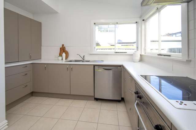 51 Cadogan Street Sydenham_4