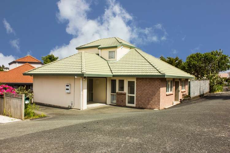 19 Central Park Drive Te Atatu South_0