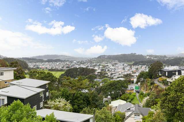 49 Farnham Street Mornington_3