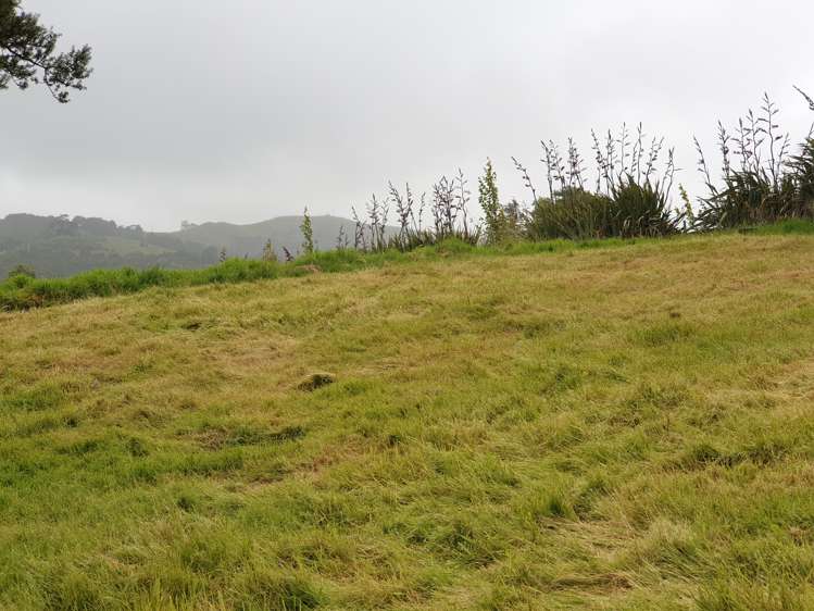 217 Heatley Road Whakapirau_8