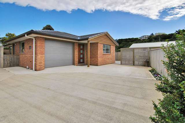11a Clifford Road Johnsonville_1