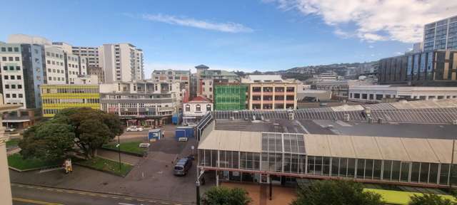  2F/107 Manners Street Te Aro_2