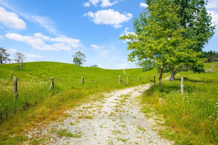 515 Kahikatea Flat Road Waitoki_7