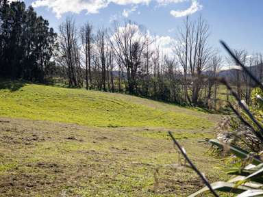 Lot 2/357 Oneriri Road_4