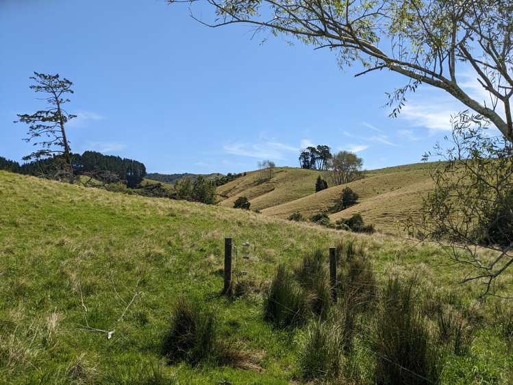 334b Komokoriki Hill Road Makarau_14