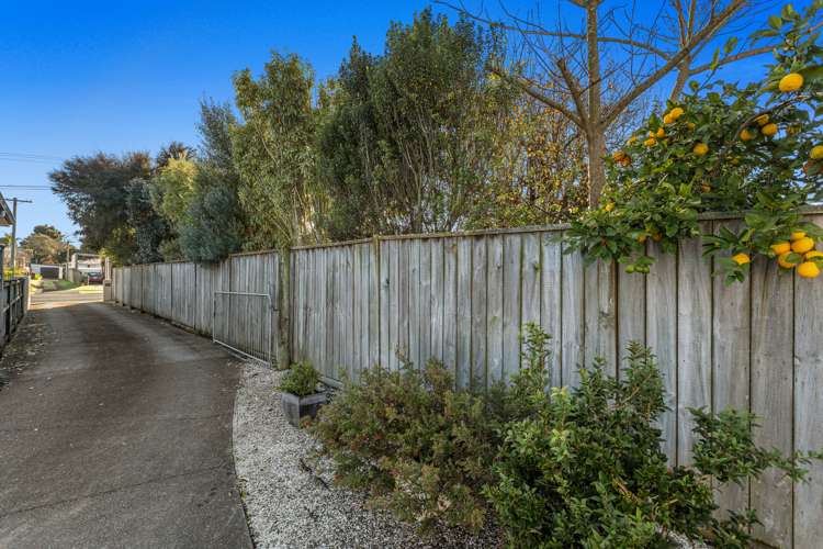 137a James Street Whakatane_15