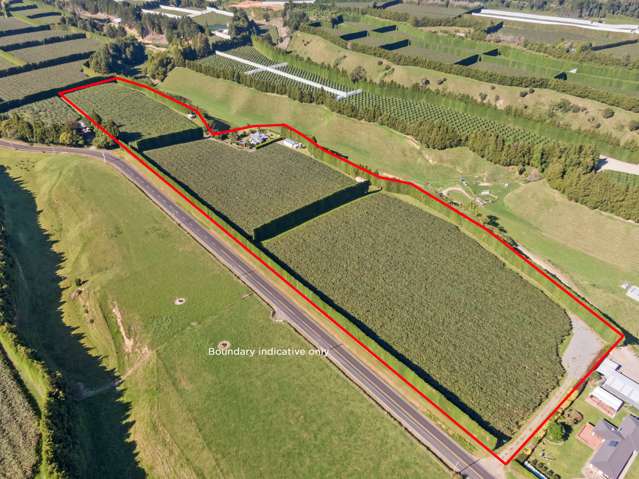 573 Te Matai Road Te Puke_1