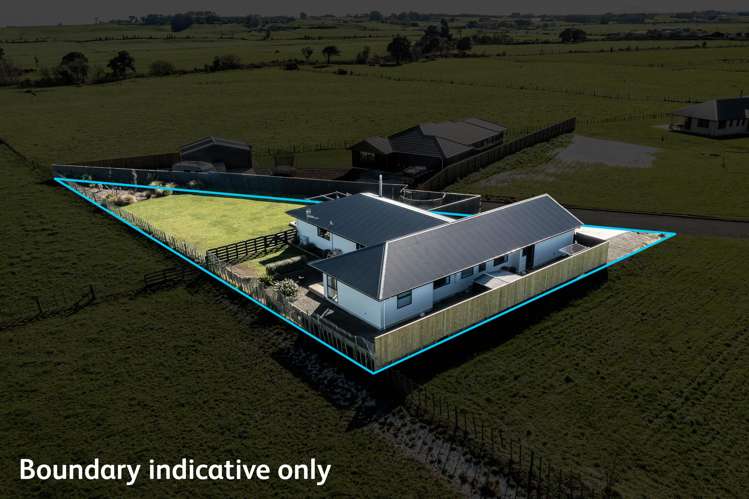 39 George Street Bulls_39