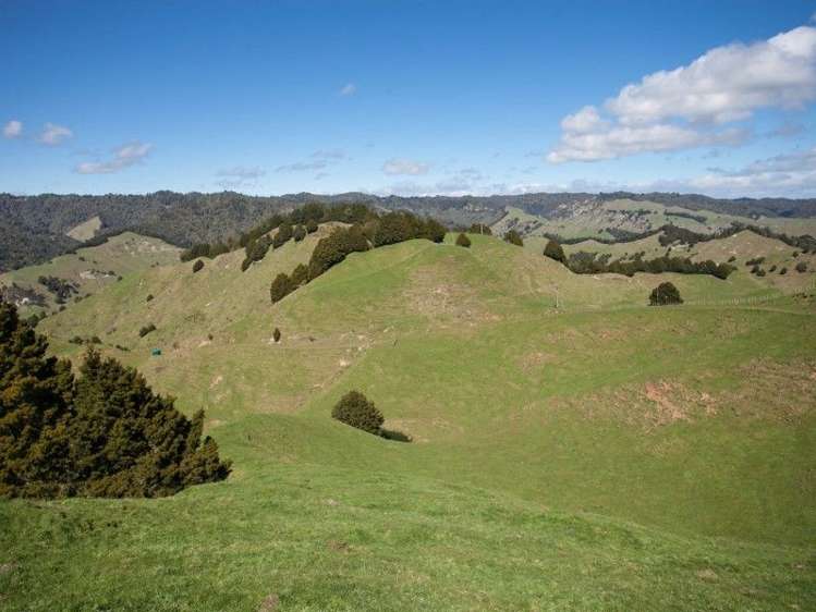1190 Ohura Road Waimiha-Ongarue_13