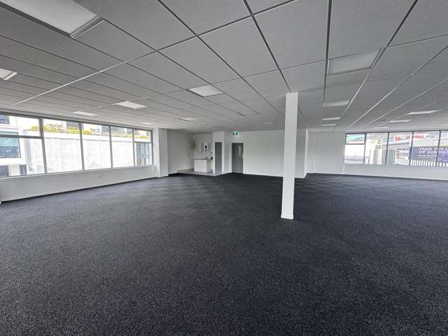 Level 1/59 Adelaide Road Mount Cook_3