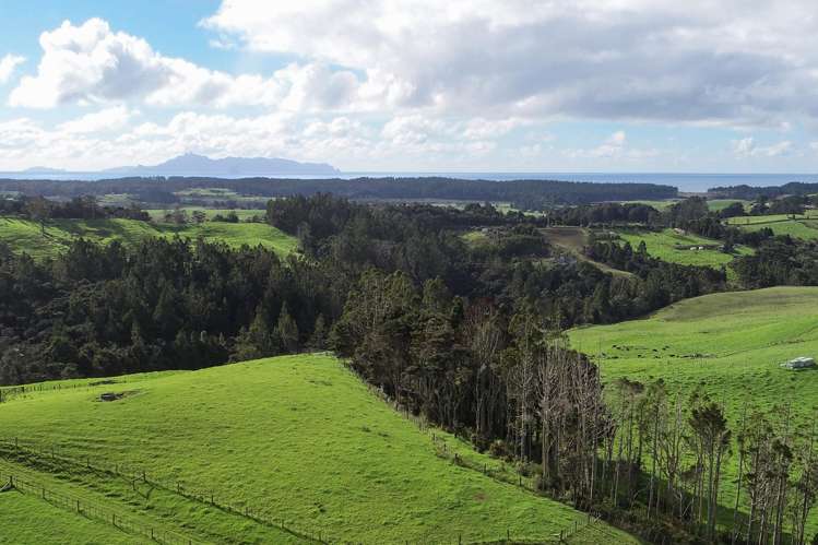 140 Te Arai Point Road Te Arai_11