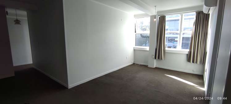 21 Karaka Street Eden Terrace_1