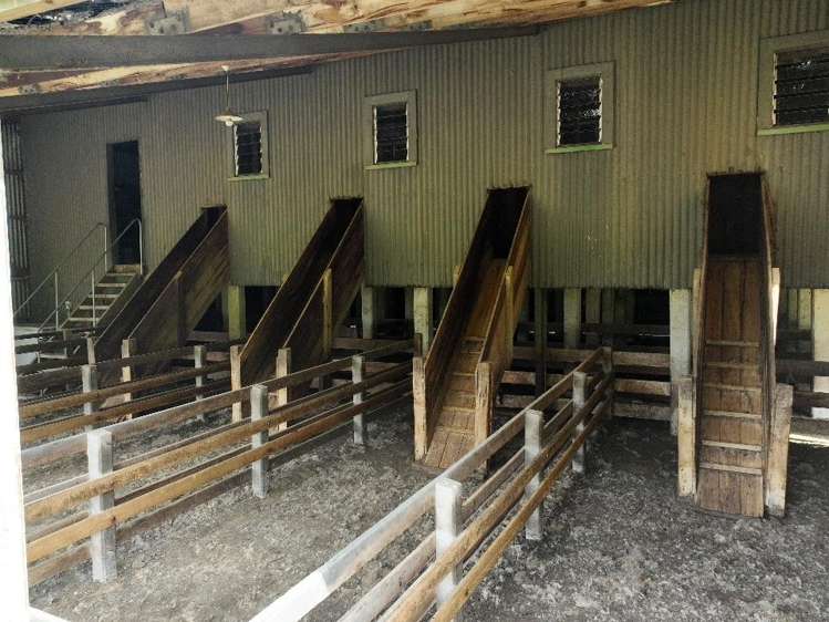 2829 Puketitiri Road Patoka_7