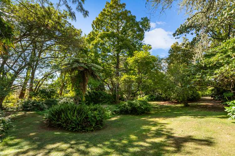 218 Springfield Road Mangapai and Surrounds_19