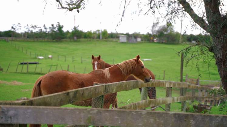 867 Whitford-Maraetai Road Beachlands_73