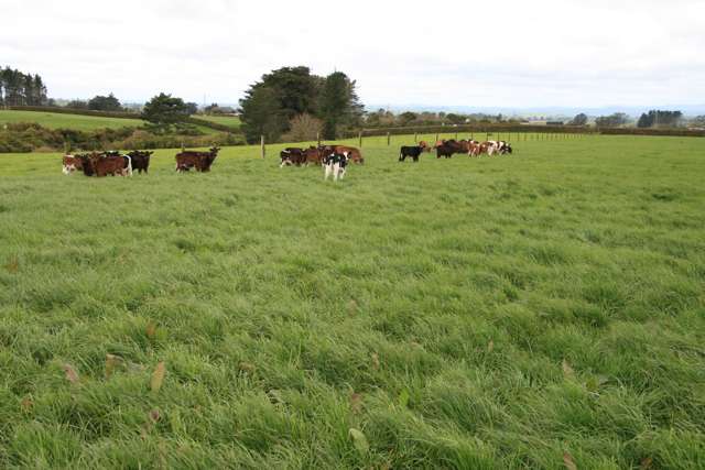 147 Monmouth Road Pembroke_3