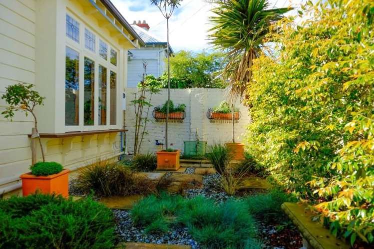 193 Forbury Road Saint Clair_18