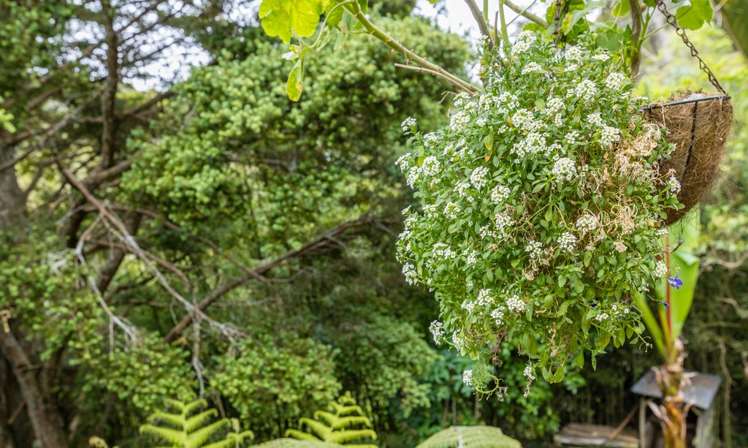 83 Warner Park Avenue Laingholm_21