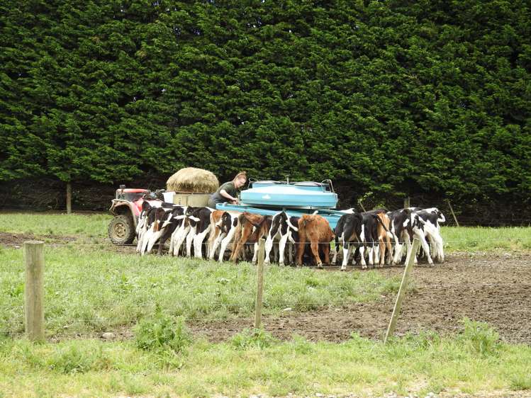 162 Longridge Village Road Gore Surrounds_12