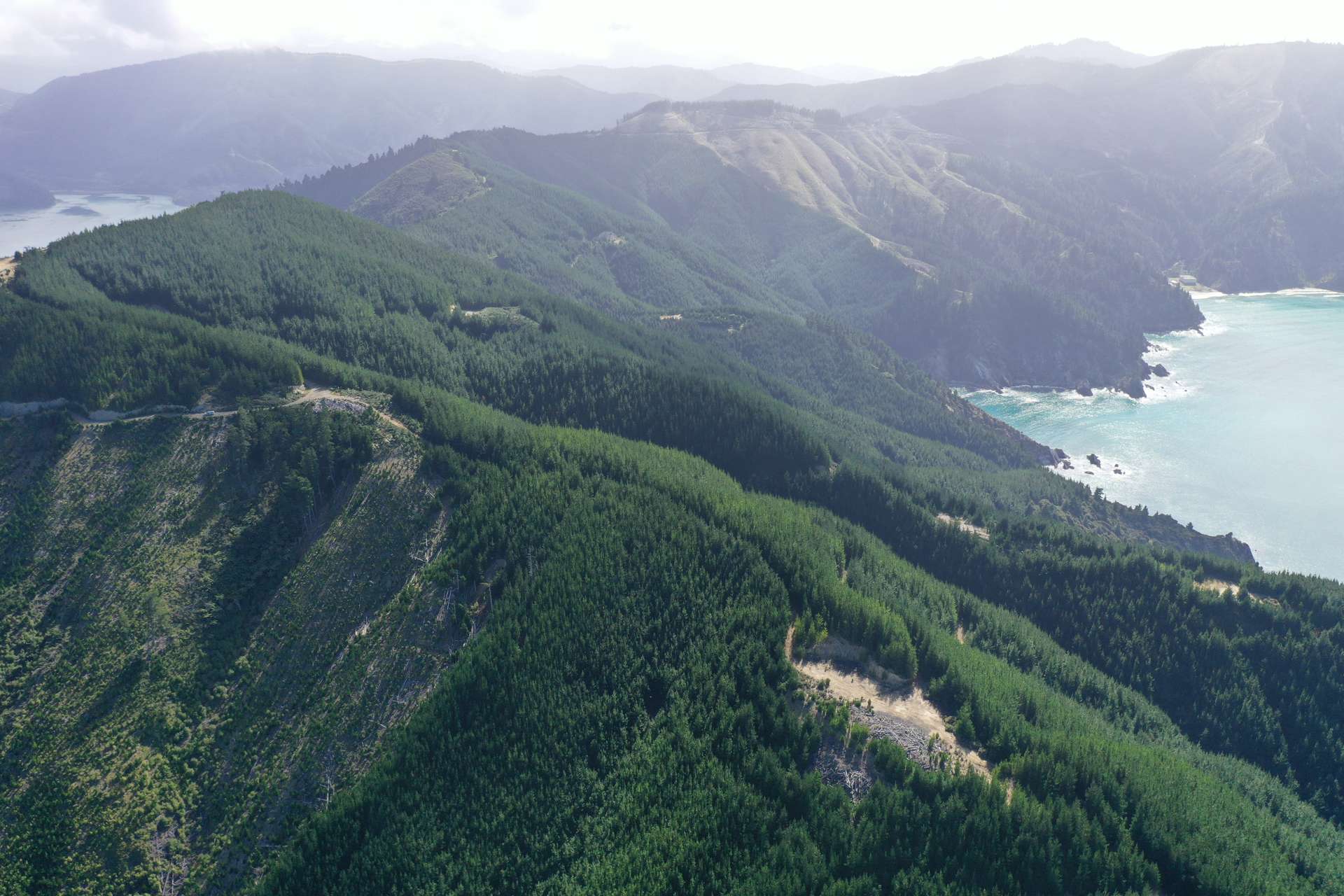 Queen Charlotte Forest, Onapua Bay Marlborough Sounds_0